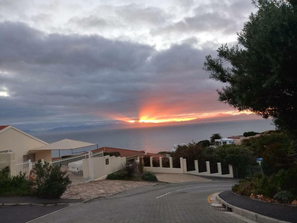 Froggy Bay Is The Best All The Way! Simonʼs Town Exterior foto